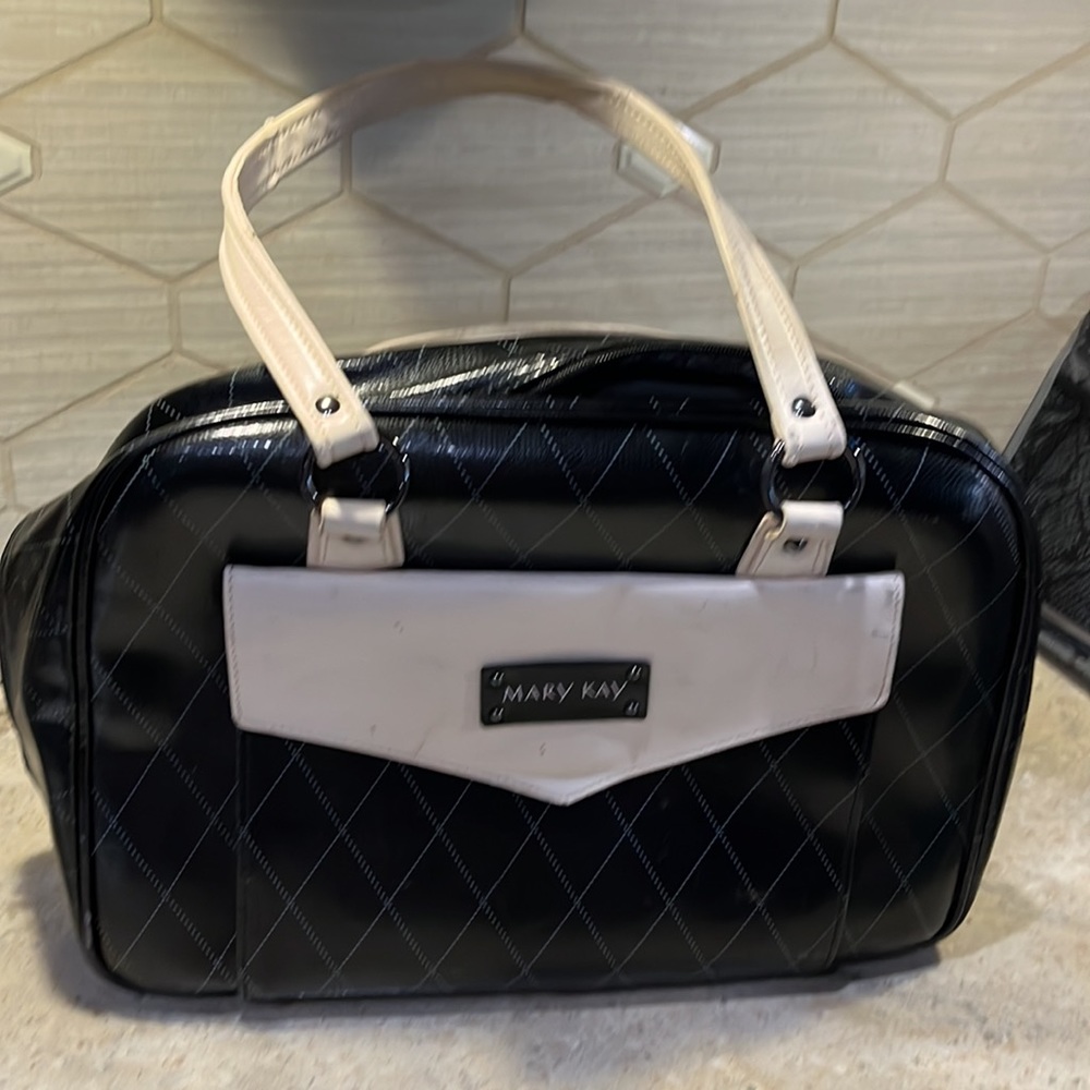 Mary Kay consultant bag with organizer insert.